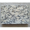 Granitowa granitowa polerowana piaskowata granitowa płytka